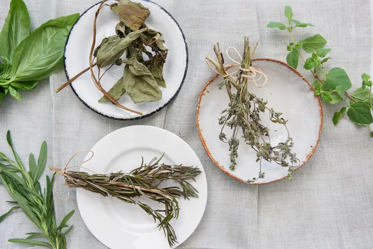 Comment Sécher et Conserver les Herbes Fraîches du Jardin