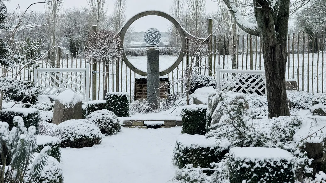 Garden Tasks for December: A Guide